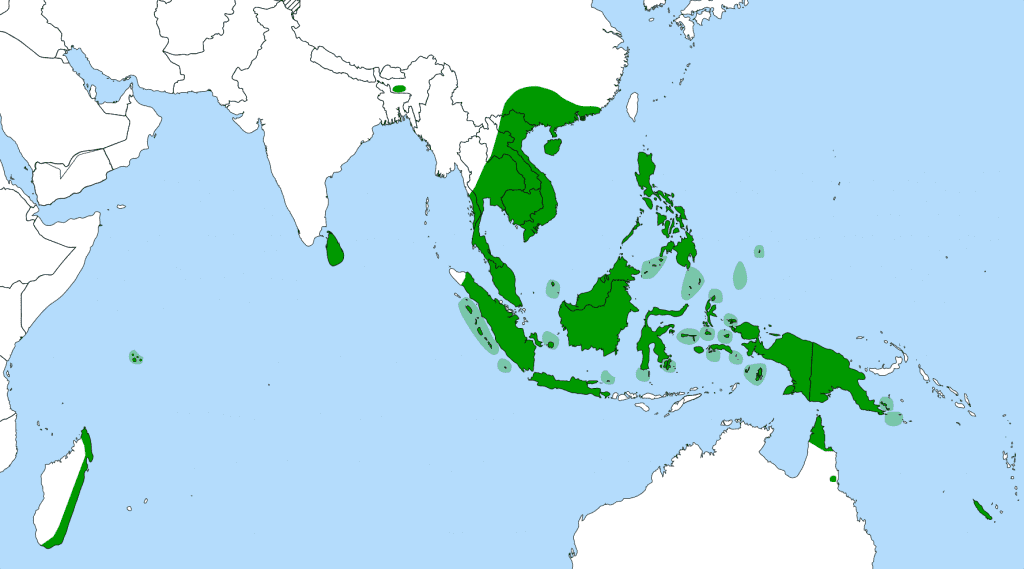 Distribución de Nepenthes
